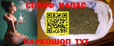 спиды Камышлов