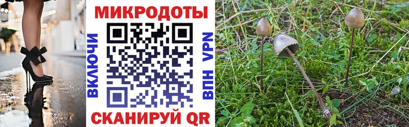 даркнет сайт  мега онион  Псилоцибиновые грибы мицелий  Минусинск 